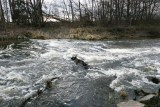 photo13