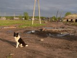 photo9977i.jpg