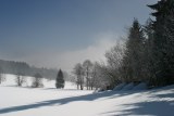 photo308i.jpg