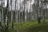 photo2000i.jpg