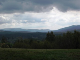 photo4443t.jpg