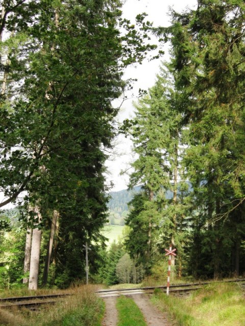 photo4444a.jpg