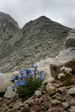 photo9517