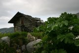 photo9527